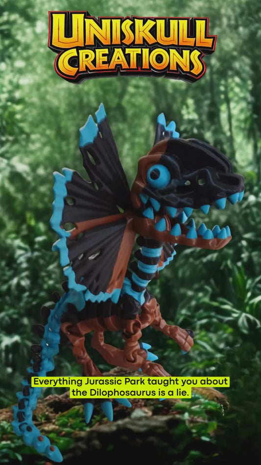 Mega Flexi Dilophosaurus articulated skeleton.