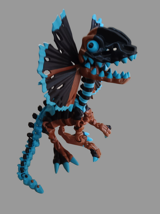 Mega Flexi Dilophosaurus articulated skeleton.